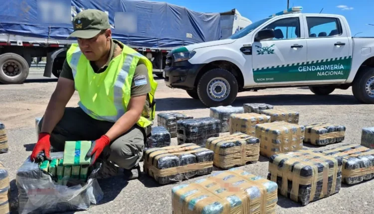 Fiscalía solicita 3 años de prisión para mendocino por el contrabando de 280 kilos de coca