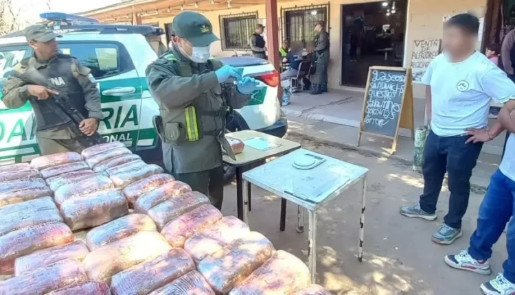 Operativo antidrogas en Catamarca: secuestran casi 50 kilos de marihuana y 4 de cocaína ocultos en peluches de capibaras