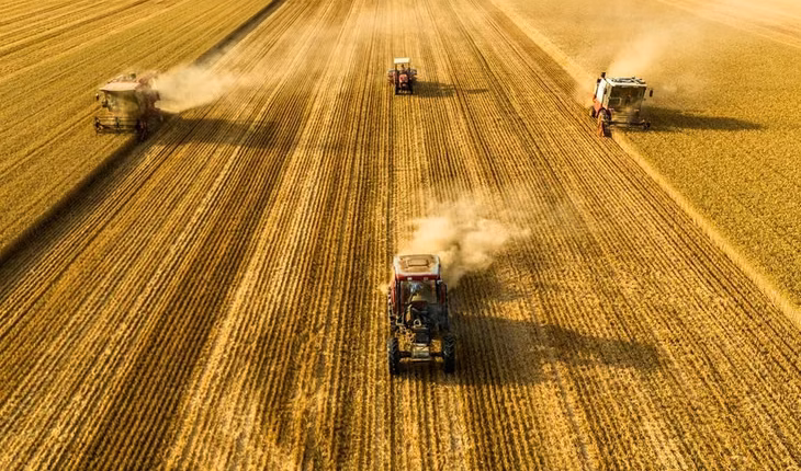 Términos de intercambio récord: cuánto puede durar el superciclo de commodities y cómo puede aprovecharlo Argentina