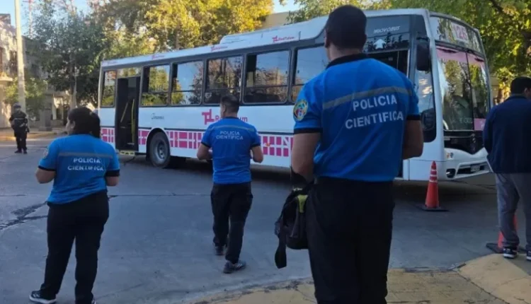 Violenta pelea a bordo de un colectivo de la Red Tulum termina con cuatro hombres detenidos en Angaco