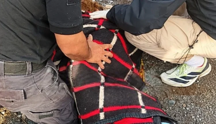Hallan sana y salva a la jubilada de 79 años que era intensamente buscada en San Juan