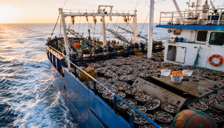Denuncian un bajo control de la pesca en el Mar Argentino, mientras Malvinas y China participan de un acuerdo sobre una especie clave