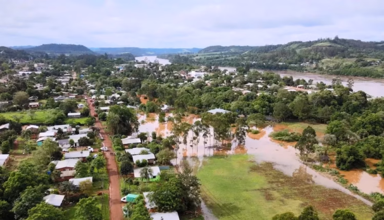La crecida del Paraná complicó los accesos en Misiones y puso en riesgo al ganado en Corrientes: “Hay productores que están con el agua encima”