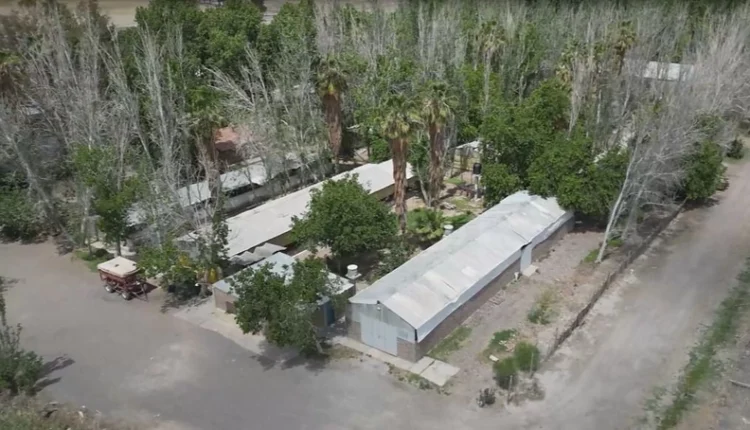 Plaga de moscas en Santa Lucía: la Justicia espera las actas de inspección para definir clausuras o sanciones