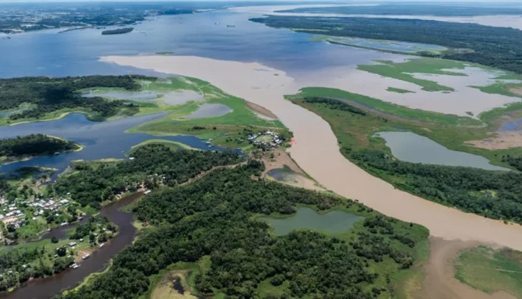 Amazonia brasileña emite más carbono del que absorbe entre 2010 y 2024