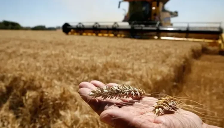 Brasil prevé producción récord de granos en 2026 a pesar de los riesgos de El Niño