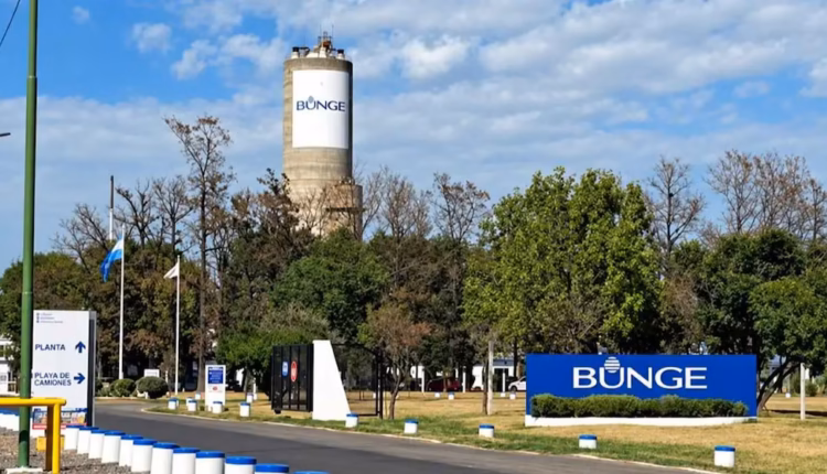 Un gigante del agro cerró una planta en Campana: hay 110 trabajadores despedidos
