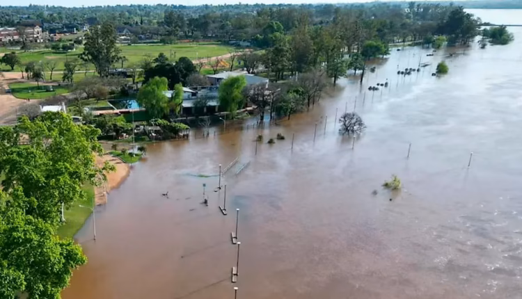 Granizo gigante y fuertes tormentas: las fotos y videos del temporal que afectó a más de 10 provincias
