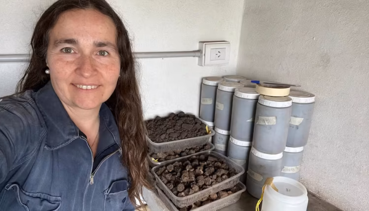El INTA despidió a una científica que investigó los efectos de los agroquímicos en Argentina