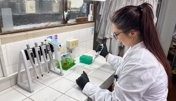 Radiografía del CONICET en tiempos de Milei: recorte de fondos, reducción de becarios y menos investigaciones