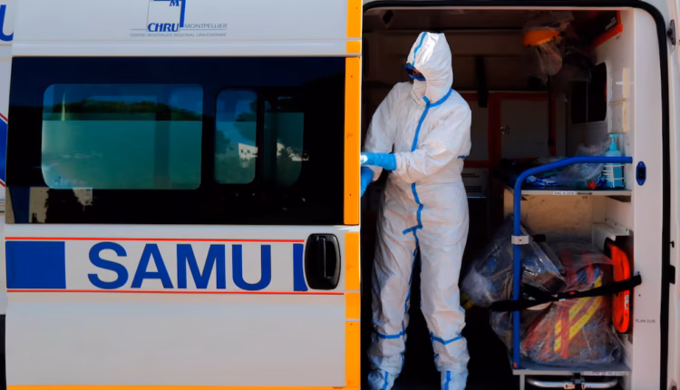 Muere en Francia la primera persona infectada por el virus Shamonda: cómo se contagia y cuál es el riesgo de transmisión