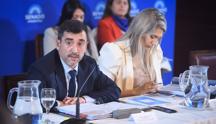 Propiedad privada: se demora en el Senado el dictamen que incluye límites a la venta de tierra a extranjeros