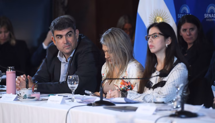En plena puja con los aliados, el Gobierno busca acelerar un acuerdo en el Senado para cambiar la ley de salud mental
