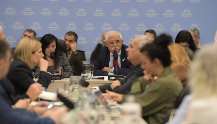 Diputados retomó el debate sobre Malvinas: la oposición pide tratar algunos puntos por separado para apoyar