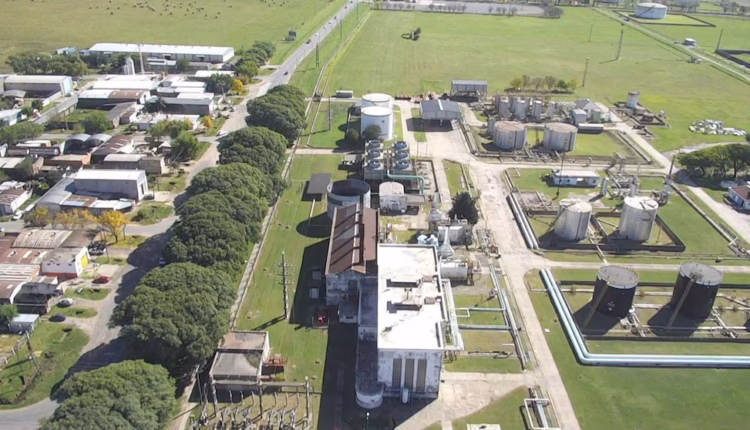 Un negocio de hasta USD 1.000 millones: YPF confirmó que producirá en la Argentina el combustible estrella del transporte aéreo
