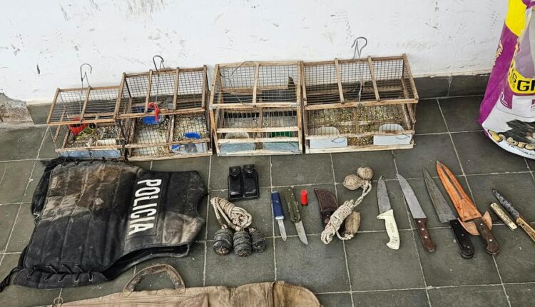 Detuvieron a un hombre en Albardón tras encontrarle carne de guanaco y aves silvestress