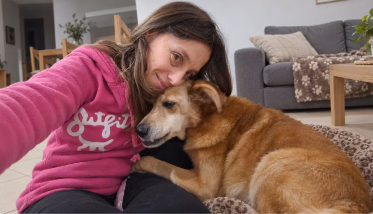La perra que esperó ocho años en un refugio y encontró una familia por un singular detalle en una fotografía