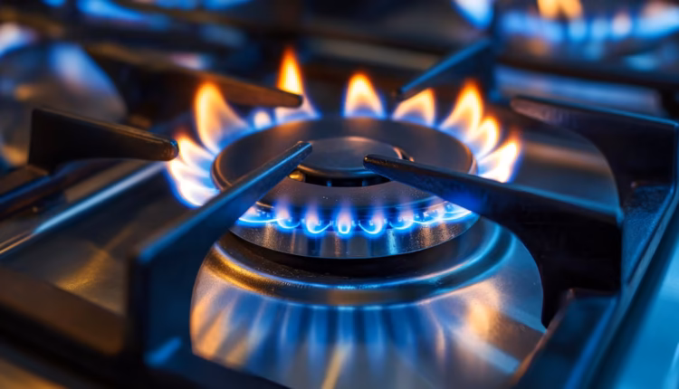 El Gobierno promulgó la ley que modifica el régimen de Zona Fría: quiénes podrán mantener el subsido en la tarifa de gas