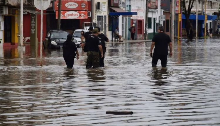 Expertos coinciden que el fenómeno El Niño puede tener impacto sobre una temida enfermedad