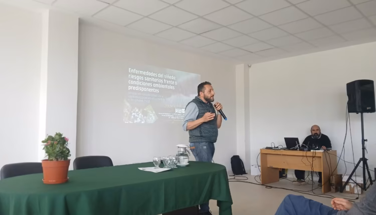 El INTA y la UNSJ alertan sobre los riesgos climáticos y sanitarios para los viñedos de San Juan