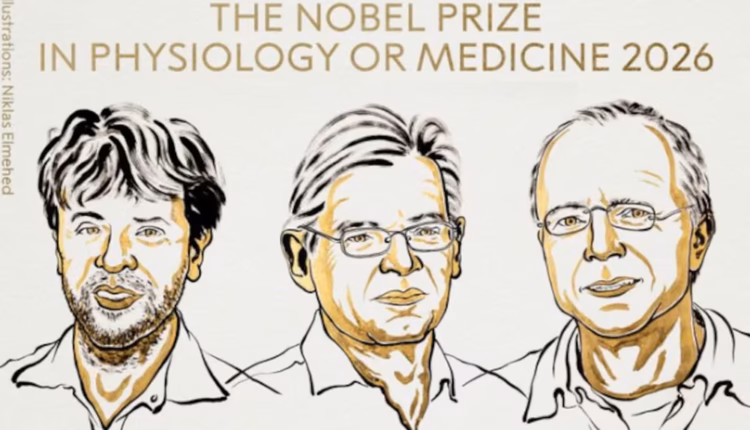 Nobel de Medicina 2026: premiaron a tres científicos por sus avances para controlar la actividad cerebral