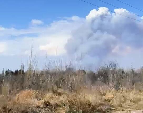 Alerta por viento Zonda: llaman a extremar los cuidados y recuerdan la prohibición de quemar pastizales
