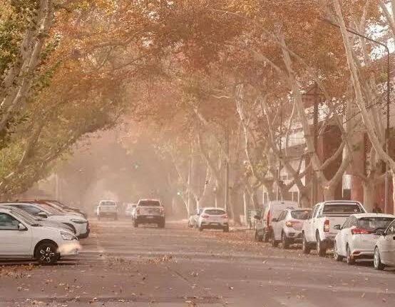 San Juan enfrentará una marcada variabilidad térmica y alerta por intensos vientos