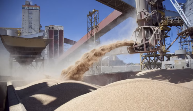 La agroindustria liquidó divisas por US20 millones en septiembre y acumula más de US.270 en lo que va del año