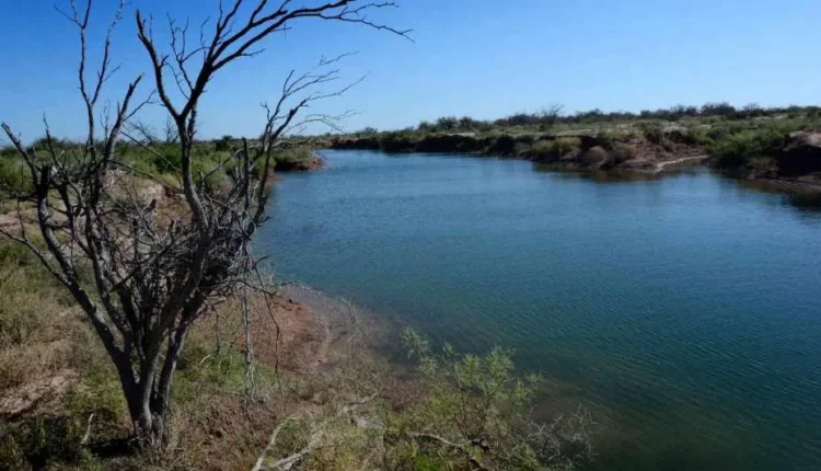 Proyecto Guanacache: buscan que el río San Juan vuelva a llevar agua al histórico humedal tras 20 años