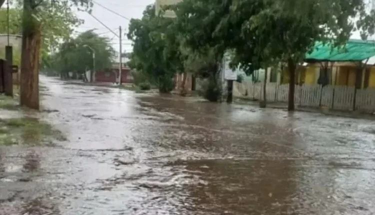 Operativo de emergencia en Jáchal: 20 familias damnificadas por las intensas lluvias