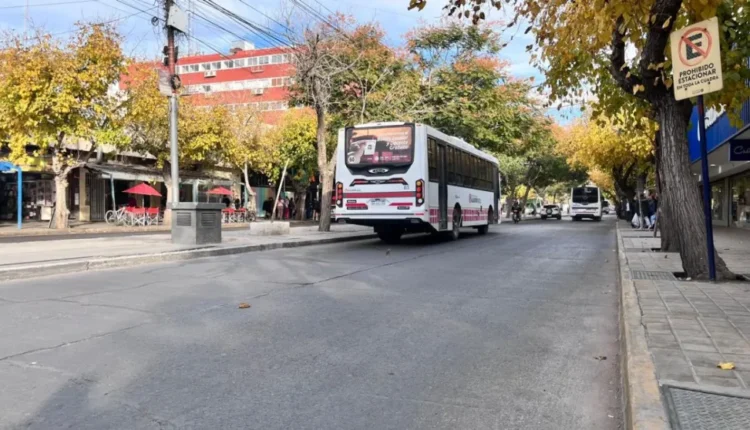 Avenida Libertador: el Gobierno apunta a comenzar en noviembre la remodelación entre Alem y Rawson