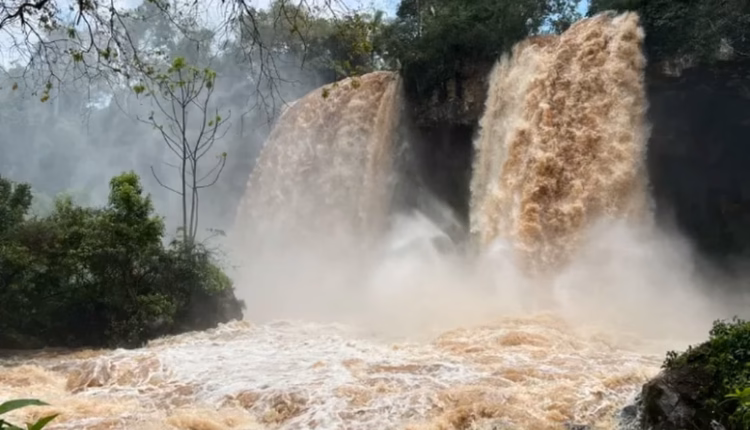 ¿El fenómeno El Niño se extenderá hasta abril de 2027?: el Litoral, en alerta máxima
