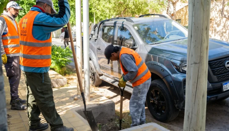 La Municipalidad de la Ciudad de San Juan proyecta alcanzar los 1.000 nuevos árboles plantados antes de fin de año