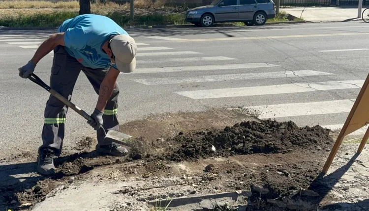 Pocito intensifica las tareas de prevención, limpieza y refuerzo de defensas ante los riesgos del fenómeno El Niño