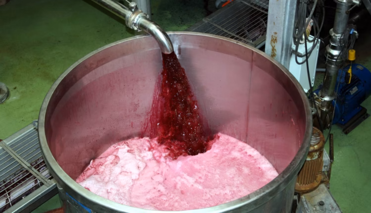 Elecciones en Brasil: San Juan busca un mayor impulso para las exportaciones de vino a granel y mosto